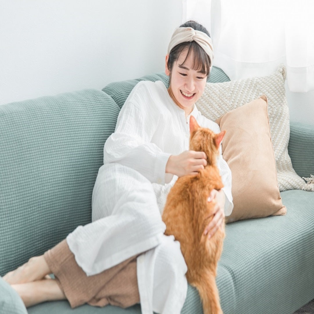 ペット
